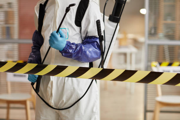 Professional Sewage Cleanup technician working in Osterville, MA